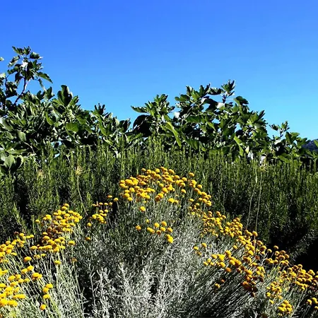Feriehus Holiday Cherry Hvar 4+2 *